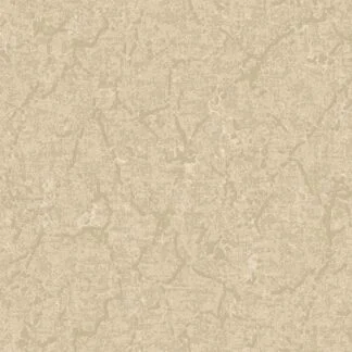 ADAWALL DANTE 1406-5