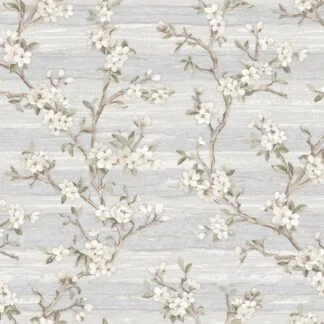ADAWALL VERA 1505-1