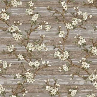 ADAWALL VERA 1505-4