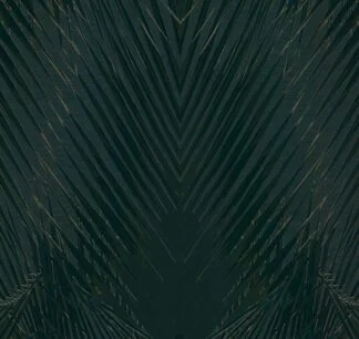 Roberto Cavalli Home 6