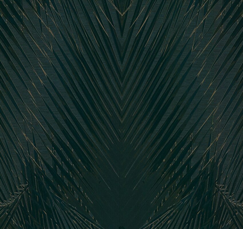 Roberto Cavalli Home 6 RC17005 İthal Duvar Kağıdı