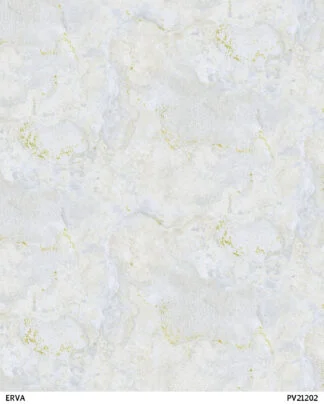 ERVA PV21202 İthal Duvar Kağıdı
