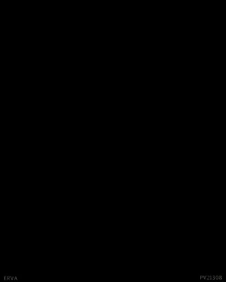 ERVA PV21308 İthal Duvar Kağıdı